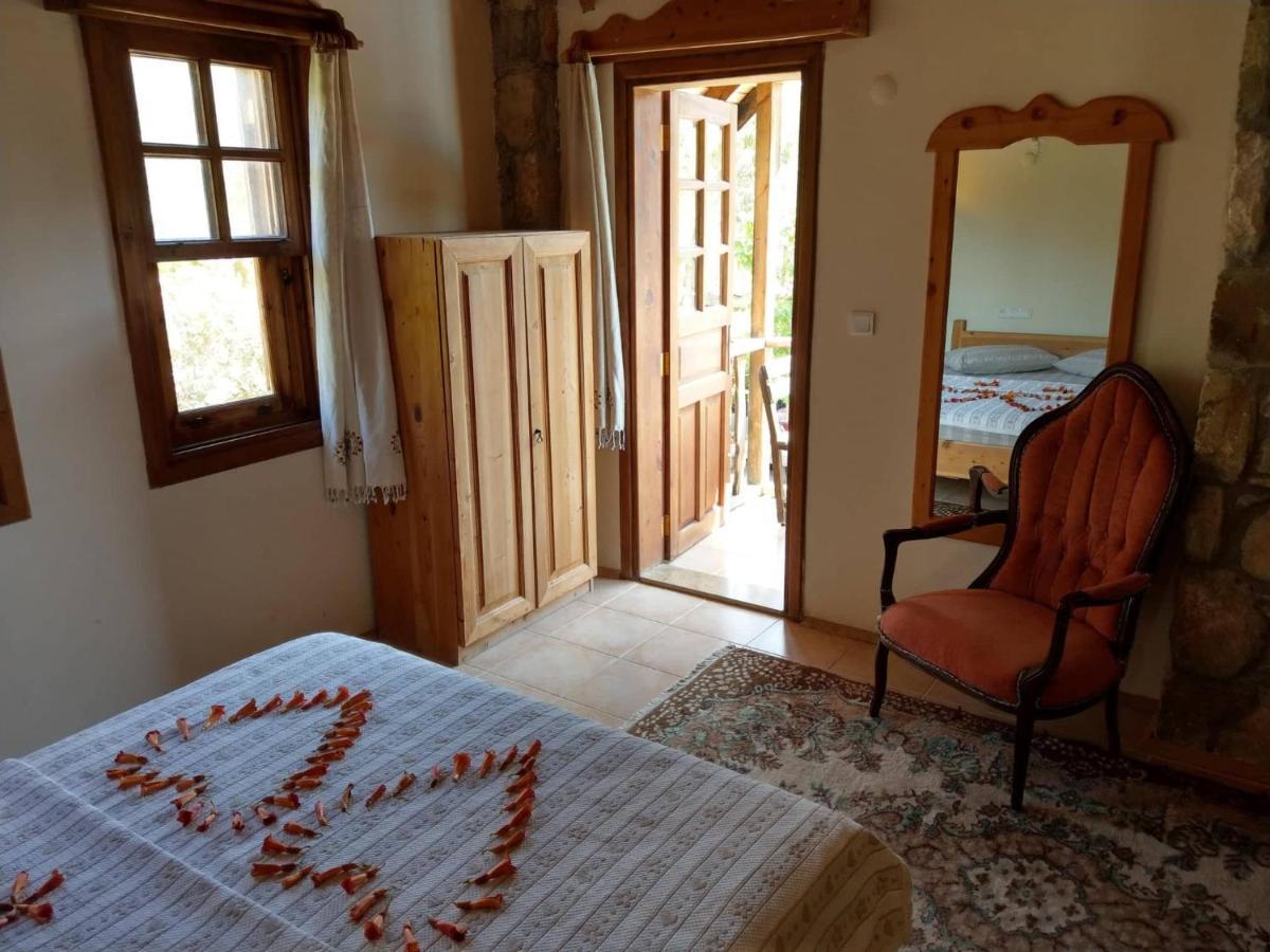 Olympos Koyevi Countryhouse エクステリア 写真