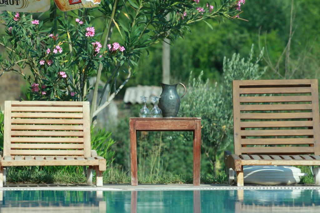 Olympos Koyevi Countryhouse エクステリア 写真