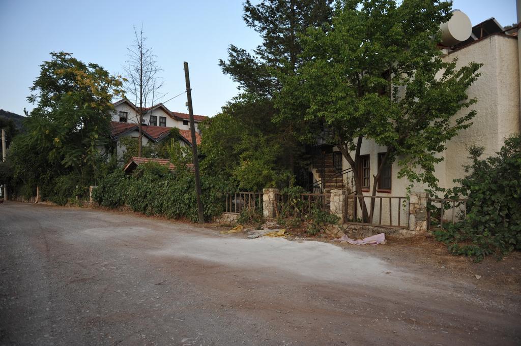 Olympos Koyevi Countryhouse エクステリア 写真