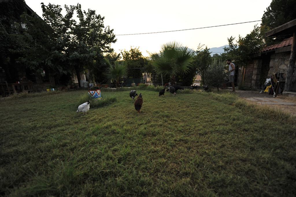 Olympos Koyevi Countryhouse エクステリア 写真