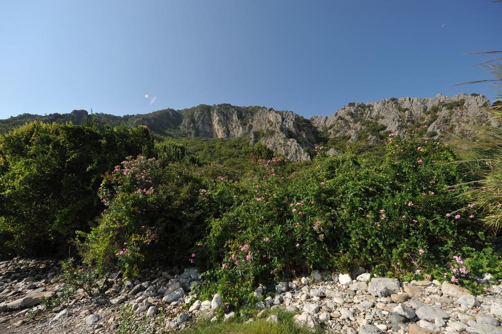 Olympos Koyevi Countryhouse エクステリア 写真