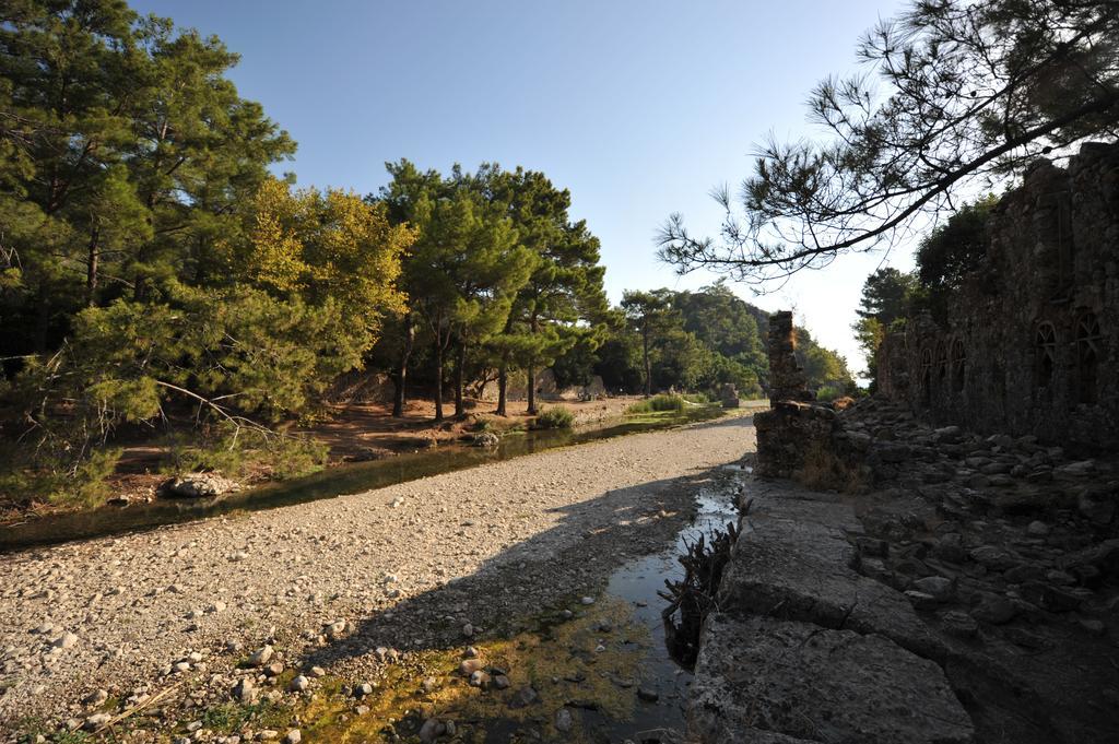 Olympos Koyevi Countryhouse エクステリア 写真