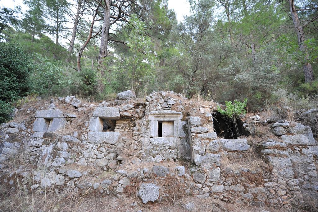 Olympos Koyevi Countryhouse エクステリア 写真