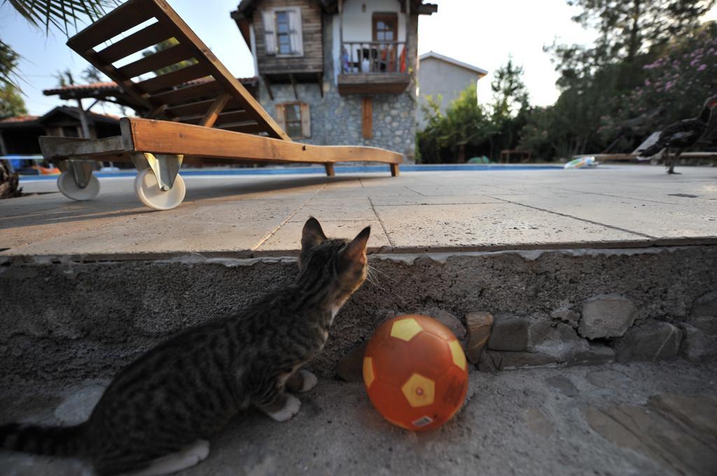 Olympos Koyevi Countryhouse エクステリア 写真