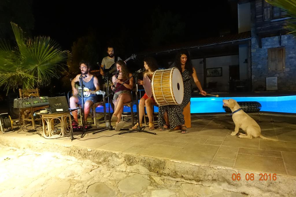 Olympos Koyevi Countryhouse エクステリア 写真